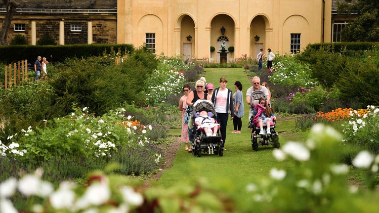 A group of visitors walking through the Rose Garden at Nostell Priory with white roses either side of them